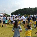 안중파랑새유치원 이미지