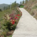 개안농장 이미지