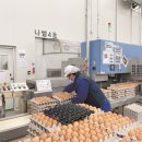 해샘찬농장 이미지