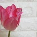 신선축산 네이버블로그