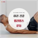 맨투맨휘트니스 이미지