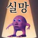 브이 | 브이쎄라 내돈내산 후기!
