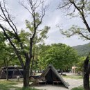 설악동 B 주차장 | 속초 캠핑장 설악동 야영장 A17 사이트 이용 후기 주변 환경