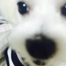 개미남 이미지