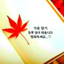 알아두면 도움이 되는 사자성어ㅡ36~ 70개를 소개합니다ㅡ저장 해두시고 꼭 활용해보세요ㅡ경이원지'존경하기는 하되 가까이 하지는 아니함ㅡ 이미지