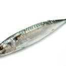 퍼스트샵휘트니스 이미지