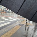 제주시제주보건소 치매안심센터 | 제주를 기록하다: 2026 서귀포시 시민기자단 위촉식 및 활동 다짐