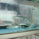 생초식당 이미지