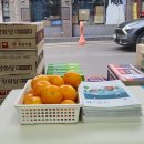 귤약국 이미지
