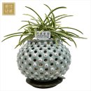 문호농장 이미지