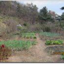 이원목장 이미지