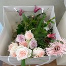 스튜디오 촬영 후기 _ 그레이스케일, 헬리오스플라워, 더화이트엘리자베스, 라메종 뷰티, 베리굿 웨딩...