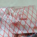 마야동물병원 이미지