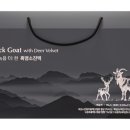 염소연구소 이미지