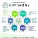 평창청옥산천년초