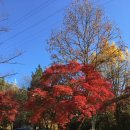 깻잎농원 | 장작에 끓여먹는 남양주 가마솥 닭볶음탕 맛집추천 ‘샛터농원’ 내돈내산 후기