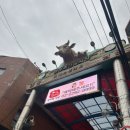 가야축산유통 이미지