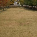 한양목장 이미지