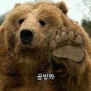 [일본모마] 일본 모두의마블 - 신행템 지옥가북 저격완료!