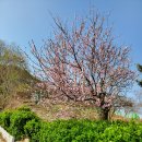 우주총동원 이미지