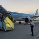 이미그레이션 | 공항 ( 대한항공 이코노미석 이용 비행기 새것 일본 이미그레이션 꿀팁 ) 탑승 후기 & 공항 이용 팁 리뷰