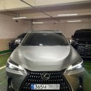 (주)세이프티컨설팅 - 50 | 렉서스 NX 리스(350h) 법인사업자 계약 출고 후기