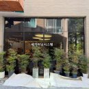 작크 | [경남어닝] 양산 작크 고정어닝 원단갈이 시공 후기