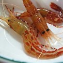 울릉도꽃새우 이미지