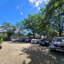 봉양로-2 이미지