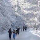 “설경 보러 해외를 왜 가”… 눈 오면 더 아름다운 ‘겨울 무료여행지’ 2곳 이미지