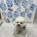 멍데이 네이버블로그