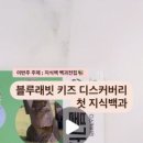 도도한전집