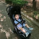 러브 | 유모차 통풍시트 비교 폴레드 에어러브4 오레오 후기