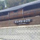 반딧불 자연휴양림 이미지