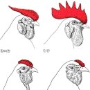 Noblesse노블레스 이미지