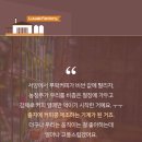 24시마음든든동물병원 이미지