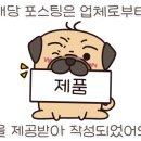 강아지톡 이미지