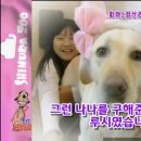 하이디