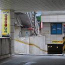 정닭 이미지