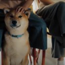 소정약국 이미지