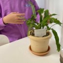 메종드아트 이미지