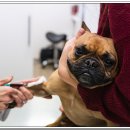 전주가축약품 이미지