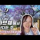 아프리카 짐바브웨 선교사 Vlog #2 이미지