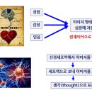 파동에너지 이미지