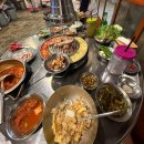 첫 수영 배우기 (4시간 안에 자유형 후기) | 아락이가 만든 집업 주문 | 취미가 생겨 행복했다 열정과다 ..