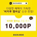 버커루 카카오 검색결과