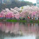 연지못 이미지