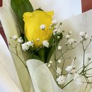 [용원꽃집추천] 진이플라워 만원 꽃다발 후기💐