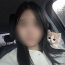 따숩 미사점 | 나만없어 애옹이