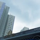 신미 이미지